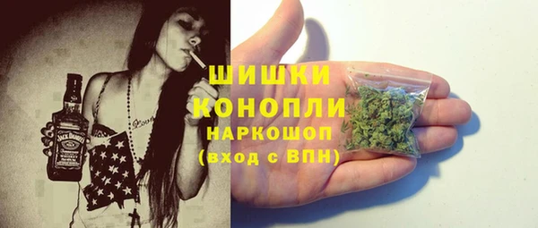 spice Бородино