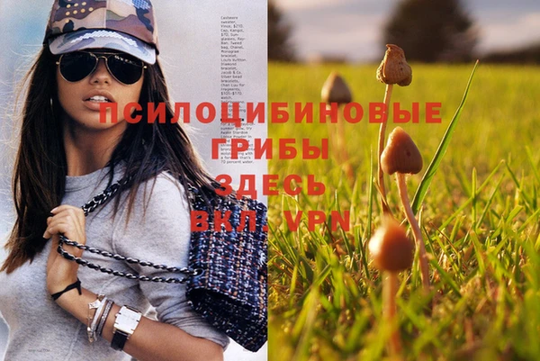 spice Бородино