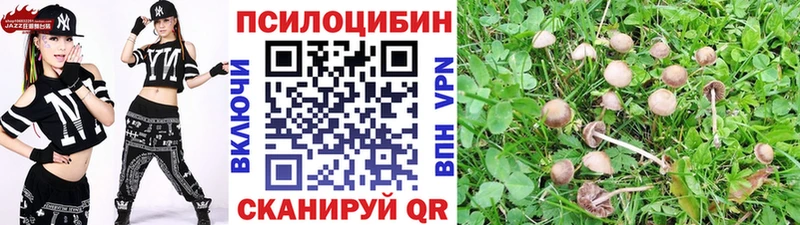 Галлюциногенные грибы Psilocybe  blacksprut   маркетплейс Telegram  Верещагино 